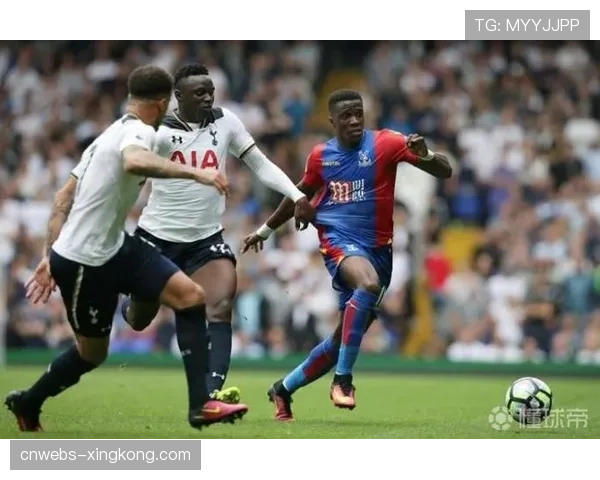 幕后调查:拳手经纪人高额抽成比例的行业惯例与潜在问题 幕后调查:拳手经纪人高额抽成比例的行业惯例与潜在问题